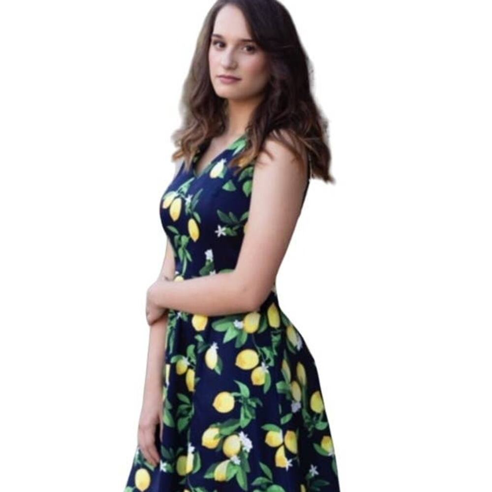Chetta B Lovely Lemons Fit and Flare Dress Womens Size 6 Blue Yellow Shift Dress